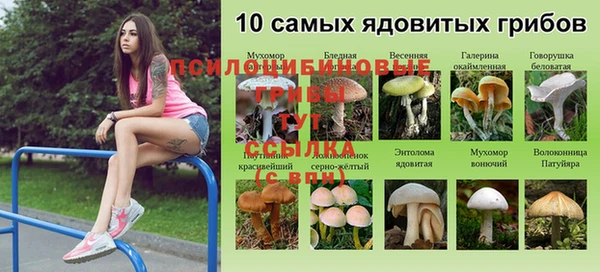 амфетамин Ельня