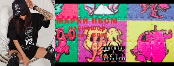 амф Елизово