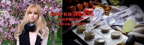 амф Елизово