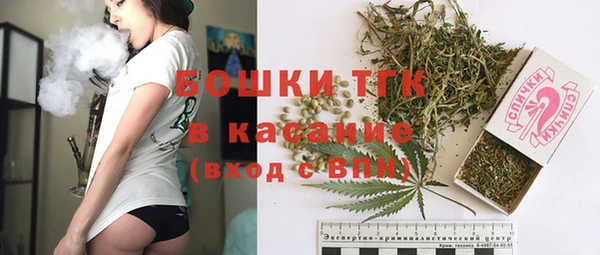 амф Елизово