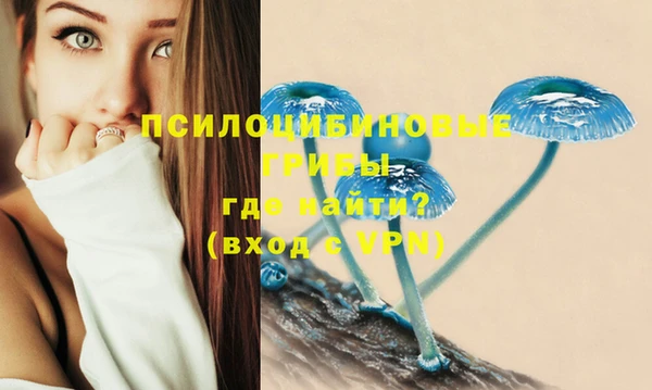 амфетамин Ельня