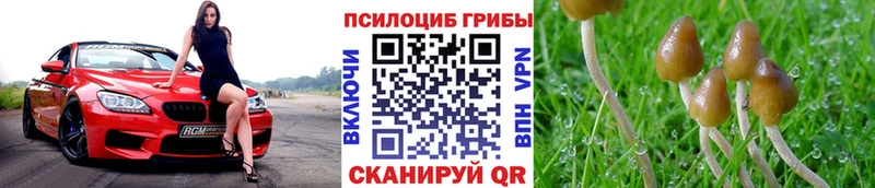 Псилоцибиновые грибы Magic Shrooms хочу Карталы